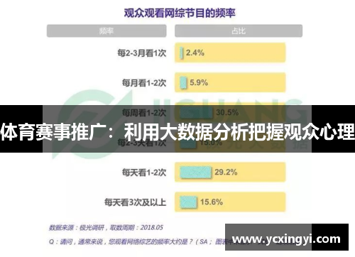 体育赛事推广：利用大数据分析把握观众心理