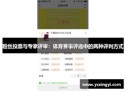 粉丝投票与专家评审：体育赛事评选中的两种评判方式