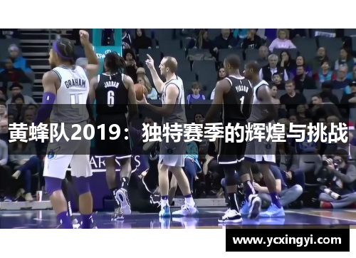 黄蜂队2019：独特赛季的辉煌与挑战